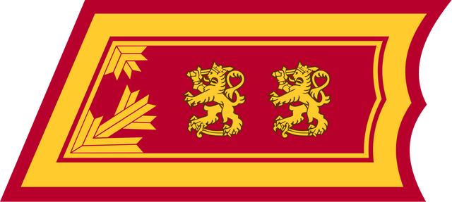 各国军衔标识:芬兰