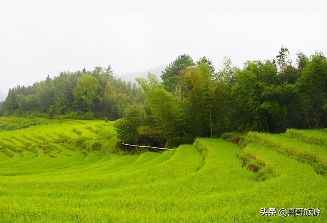 清远有什么好玩的地方景点