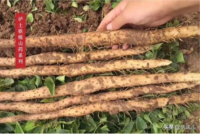 立冬将至，换季记得做好这3件事，比穿秋裤更重要，护好你的脾胃