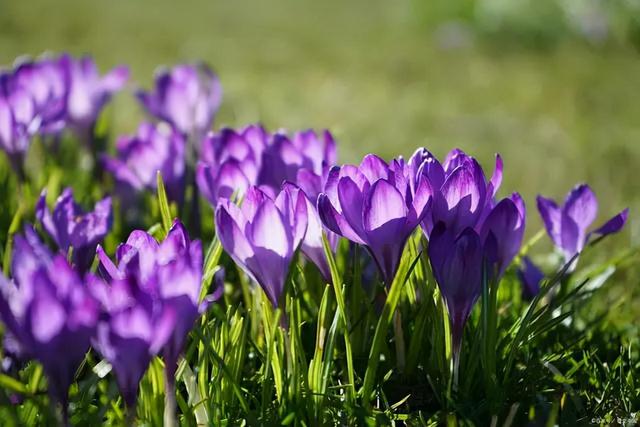 爱上阅读 是一辈子的享受