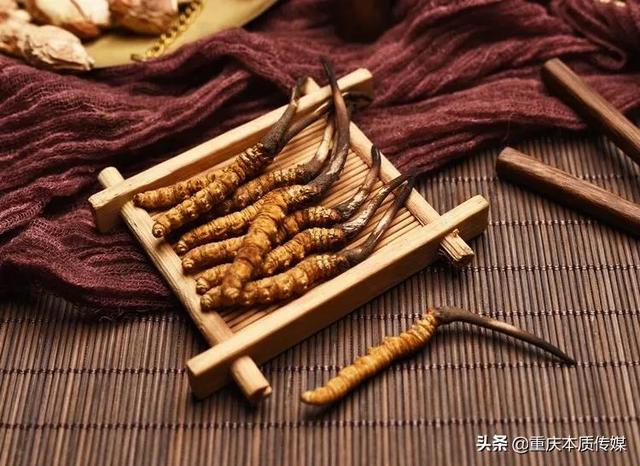 九九重阳节，老年养生有“秘诀”