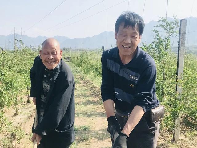 长治饲料破碎机