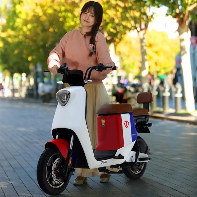 两款新电动车来了，可上牌，续航远，城市与农村都能上路