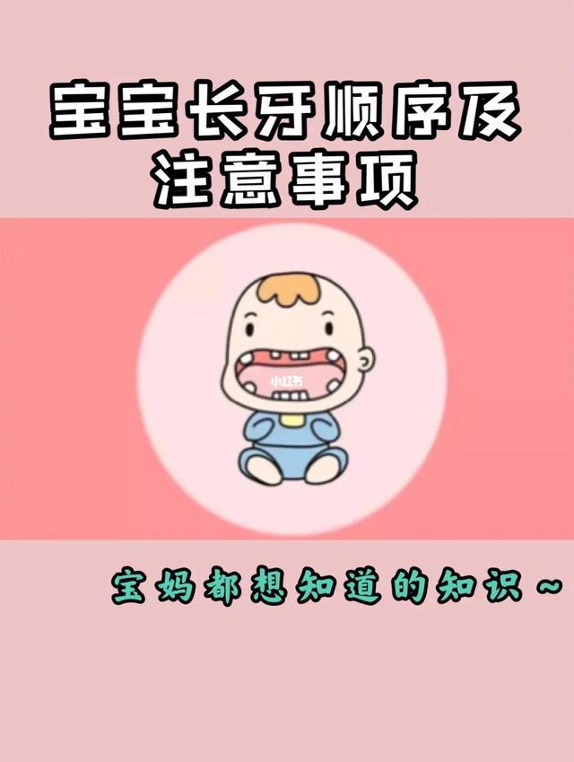 母婴百科-婴儿长牙时间从什么时候开始