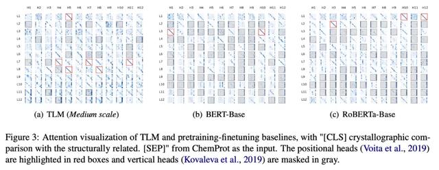 无需大规模预训练，清华提出高效NLP学习框架TLM