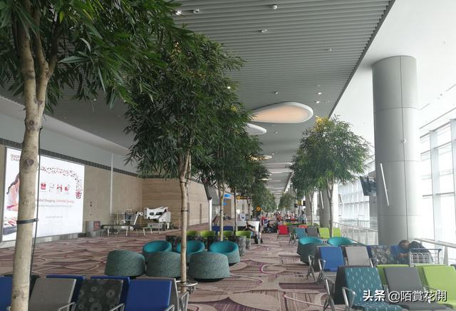凌晨到机场怎么办