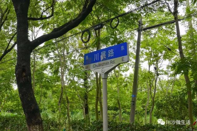 川沙川展路上的工程