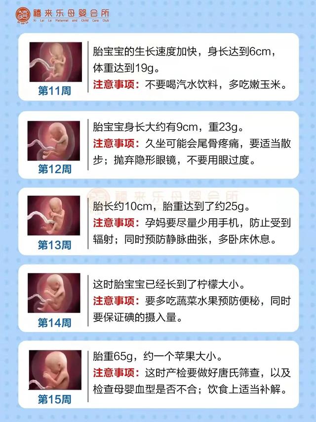孕期注意事项