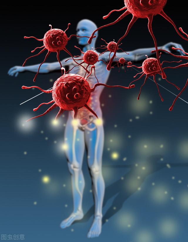 寿命和体重成反比？研究发现，60岁以后，微胖的老人更长寿