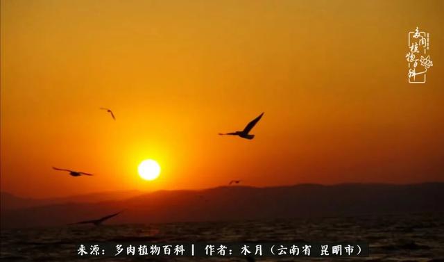 安康石英砂洗砂机厂家电话