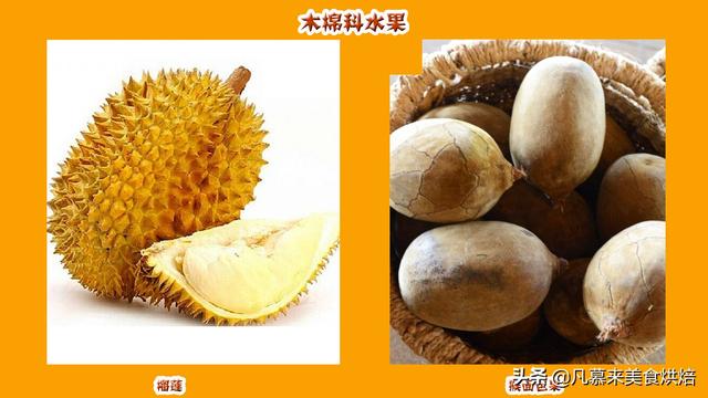 水果有哪些 水果有哪些（水果有哪些形状） 生活