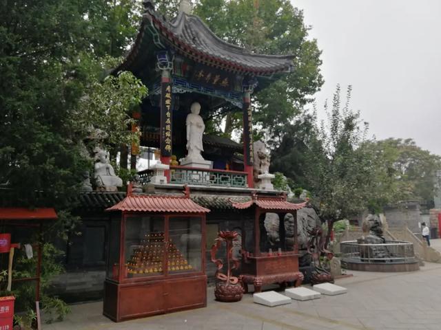 一个2岁孩子，在人间的最后60天