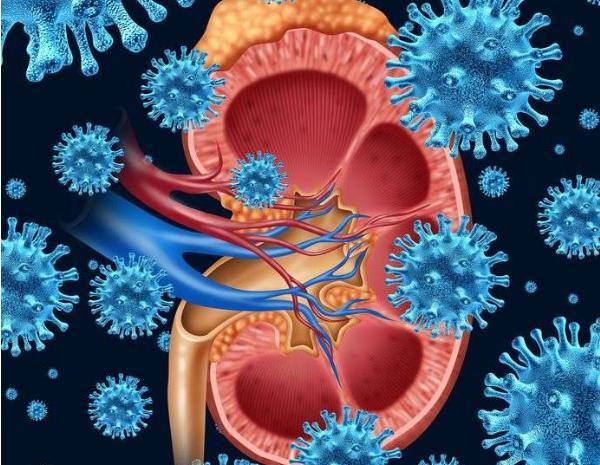 出现泡沫尿就是肾出问题了？未必，还有这几个因素，需要了解