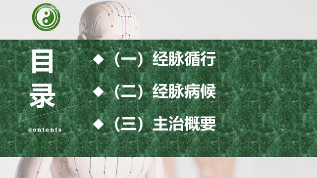 足阳明胃经与腧穴