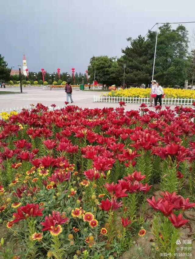 走进紫晨广场：文/李生财，图/郭翠枝