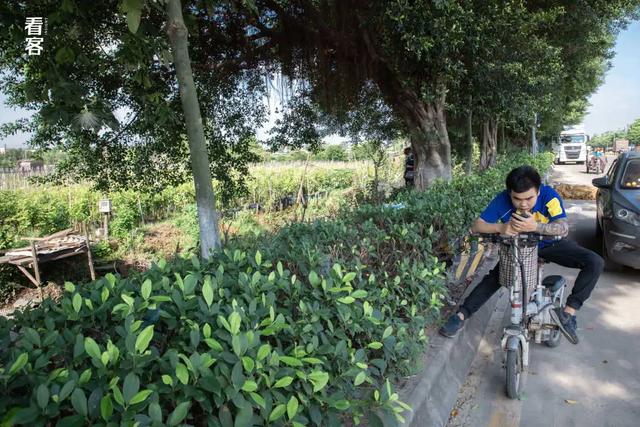 我在全国最大的物流分拣场，上了300个夜班