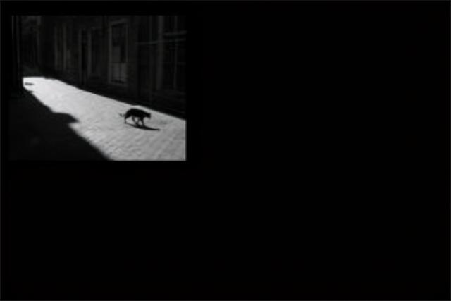 十大禁曲分别是什么歌（十大恐怖禁歌为什么被禁）