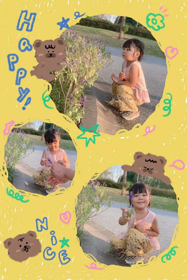 寻花之旅——友联幼儿园小班幼儿《花儿朵朵开》班本课题