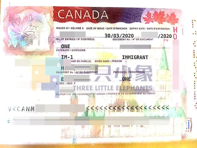 三只小象｜加拿大移民案例分享：安省雇主担保底层逻辑是什么？