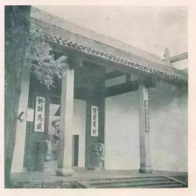 2019长沙药用机械展