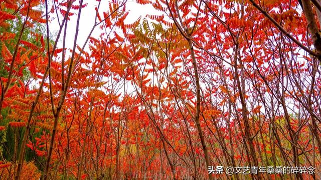 张掖过滤机