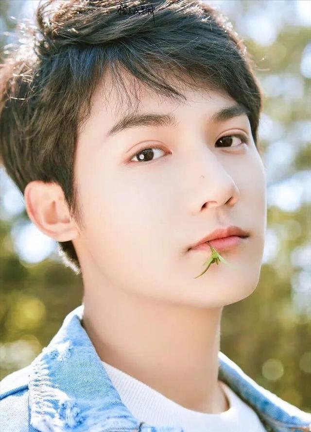 它才是爆款偶像劇 當年這4個黃金男配 如今都是大男主了 Kks資訊網