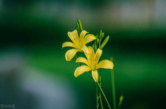 肝不好，身体有这12个症状，看看你有没有？