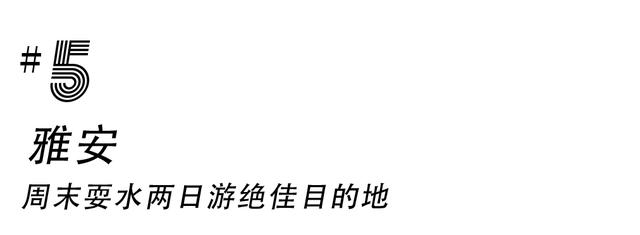 乐山石子洗砂机厂家