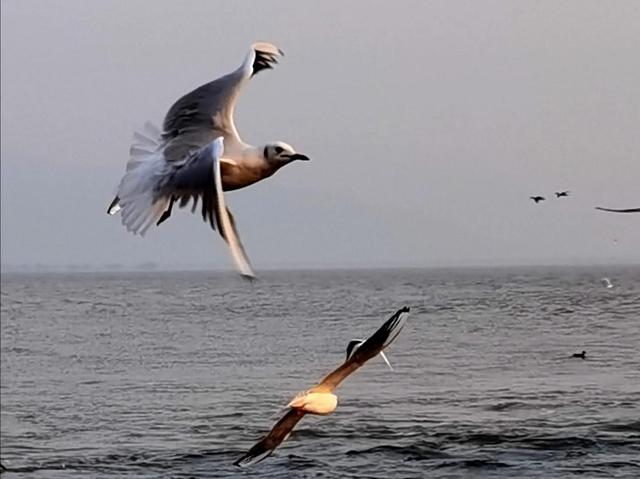 娇儿无孝子，一味地在物质上富养孩子，没有底线的纵容，好吗？