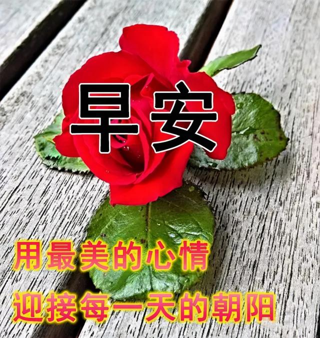 早安发圈吸引人的句子，干净有气质，值得分享