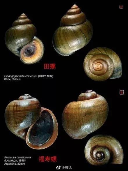 头疼起鸡皮疙瘩恶心