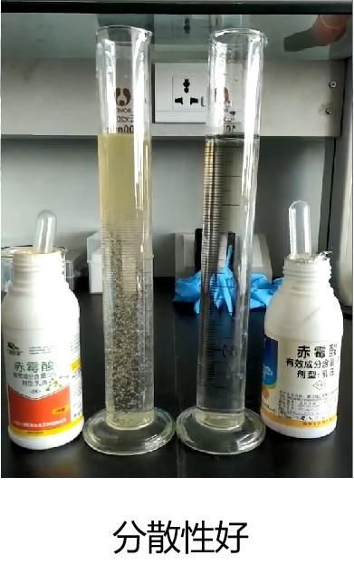 柑橘保果注意：芸苔素只是助手，起作用的是赤霉酸和苄氨基嘌呤！10