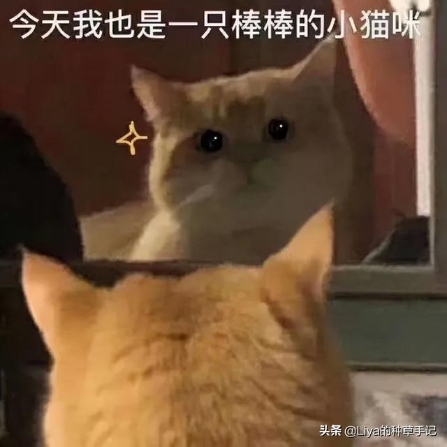 我这就可以使预警机在航母上举行起降镌汰了买衣服的次数,却越穿越悦目了8519 作者:admin 帖子ID:23445 我这就可以使预警机在航母上举行起降镌汰了买衣服的次数,却越穿越悦目了8519 作者:admin 帖子ID:23445