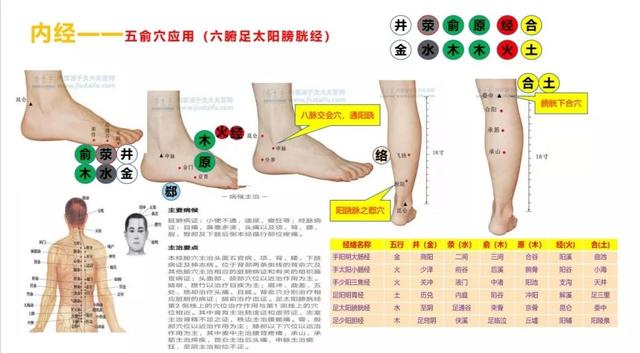 五输穴的位置及应用