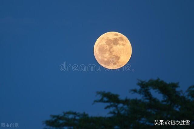 关于明月与故乡的诗句有哪些（中秋明月故人古诗词六首）