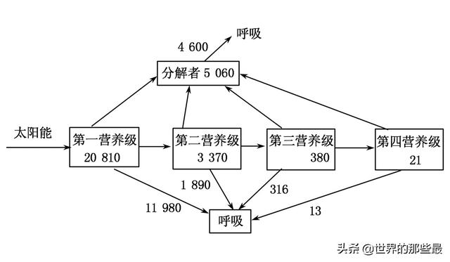 老虎的寿命