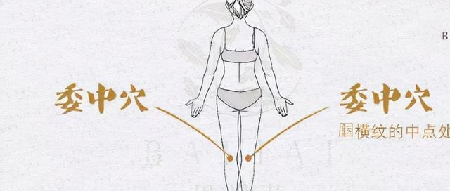 王医生分享：九个特效养生穴对应九种体质，每天按一按疾病少一点