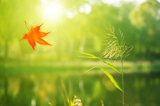 别让病去如抽丝