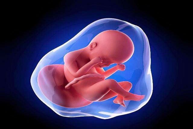 研究发现：胎儿出生后会记住三种声音，准父母胎教做准确了更重要