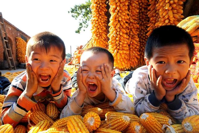 秋季养生，五个方面要注意