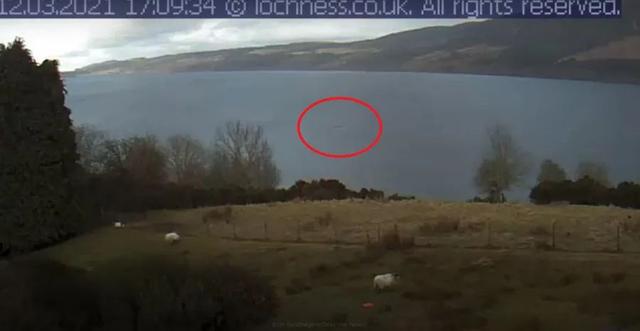 真实水怪，今年尼斯湖水怪第四次官方目击，出现1分41秒，有两个黑色驼峰
