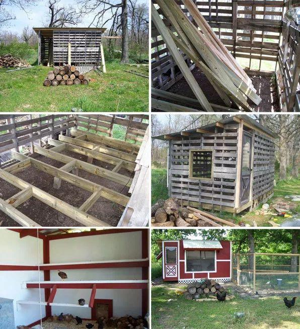 养鸡场设计图(山地散养鸡场设计图) 资讯 第5张