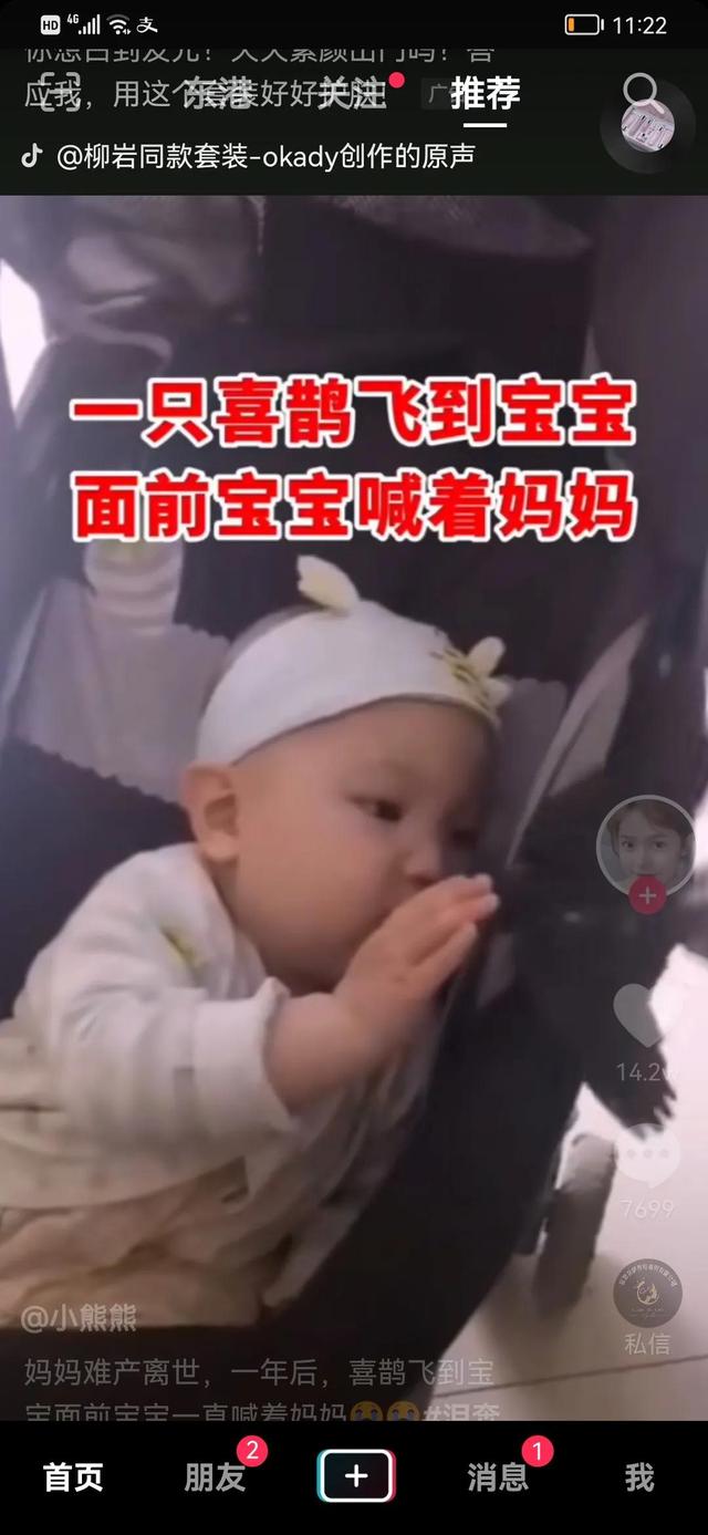 妈妈难产去世，一年后变成喜鹊来到宝宝身边？