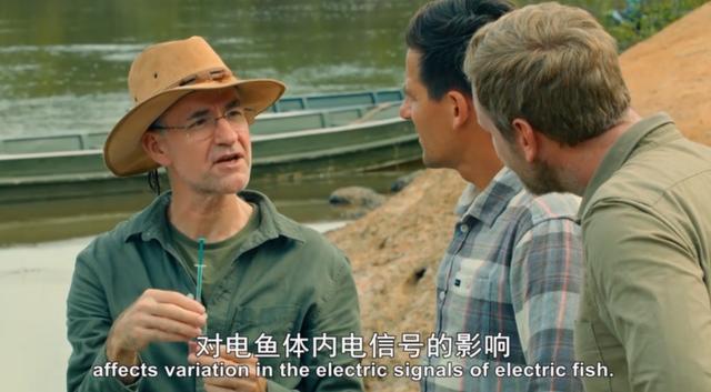 金属破碎机每日开机前必做检查比例失重调整