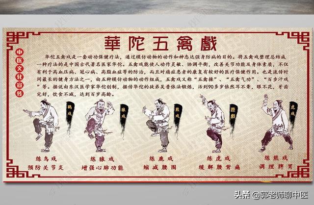 养生气功五禽戏教学（仙家秘传五禽戏：健康长寿）