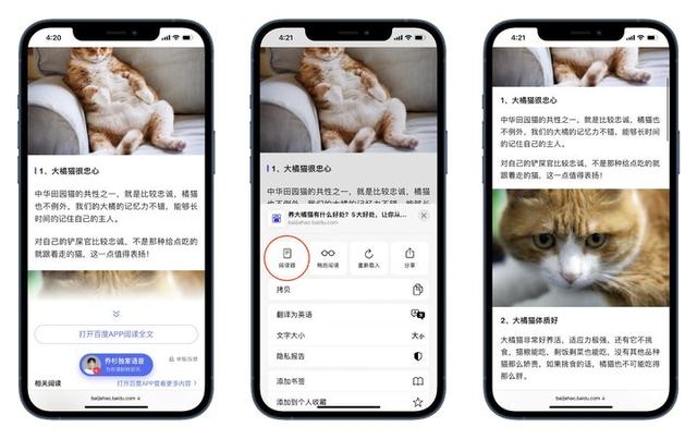 iPhone 上的辅助功能，可能是你遗忘的宝藏-第25张图片-9158手机教程网