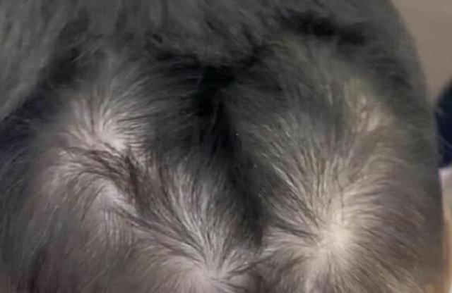 孩子头上的“旋”代表什么？与智商和性格有关吗？今天来告诉你