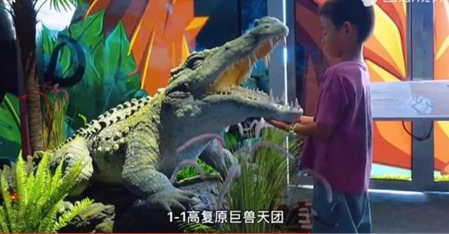 深圳机械展可以带小孩