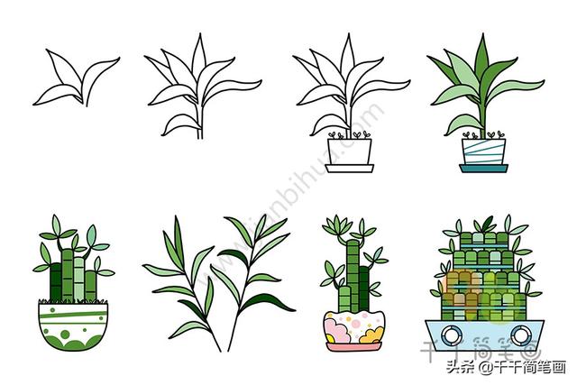 植物简笔画