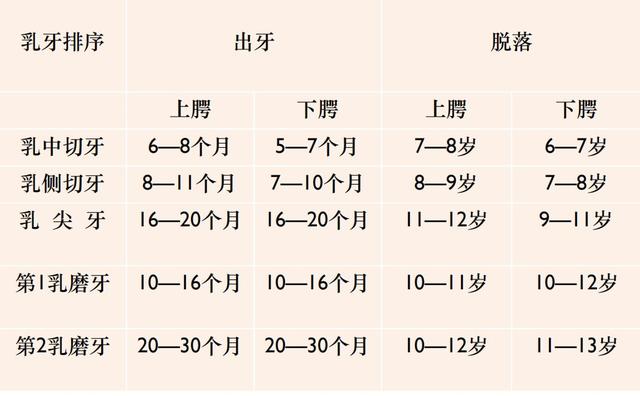 持续解读“生长发育”密码，带您深度解析孩子的发育要点